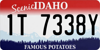 ID license plate 1T7338Y