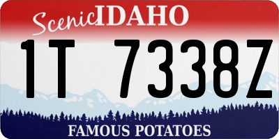 ID license plate 1T7338Z
