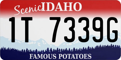 ID license plate 1T7339G