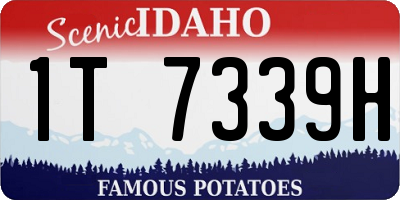 ID license plate 1T7339H