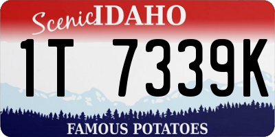 ID license plate 1T7339K