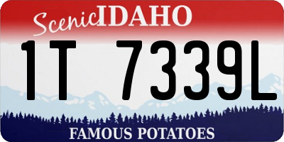 ID license plate 1T7339L