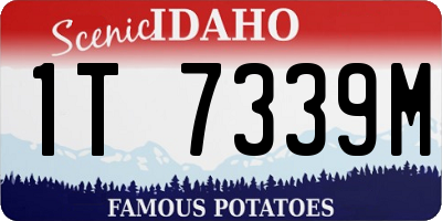 ID license plate 1T7339M