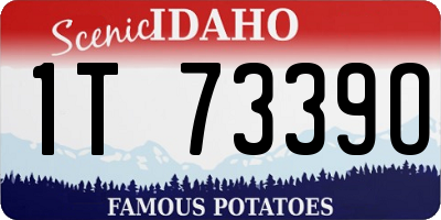 ID license plate 1T7339O