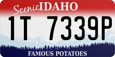 ID license plate 1T7339P