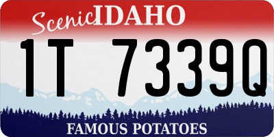 ID license plate 1T7339Q