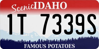 ID license plate 1T7339S