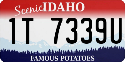 ID license plate 1T7339U
