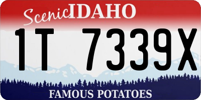 ID license plate 1T7339X