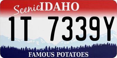 ID license plate 1T7339Y