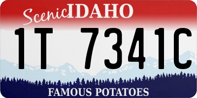 ID license plate 1T7341C