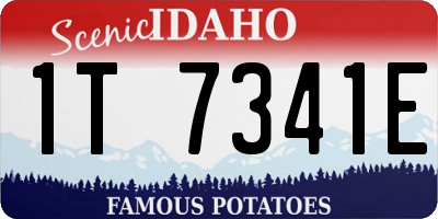 ID license plate 1T7341E