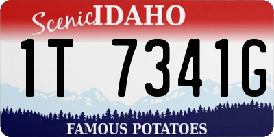ID license plate 1T7341G