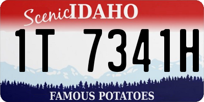 ID license plate 1T7341H