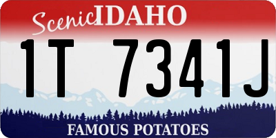 ID license plate 1T7341J