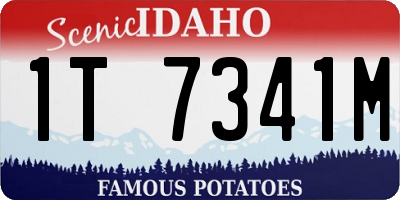 ID license plate 1T7341M