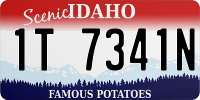 ID license plate 1T7341N