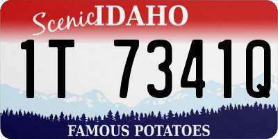 ID license plate 1T7341Q