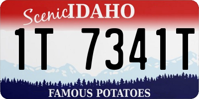 ID license plate 1T7341T
