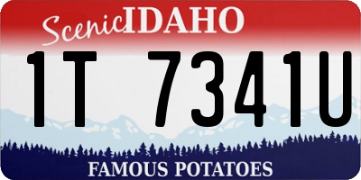 ID license plate 1T7341U