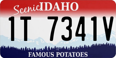 ID license plate 1T7341V