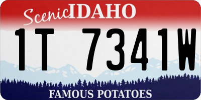 ID license plate 1T7341W