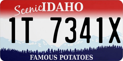 ID license plate 1T7341X