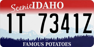 ID license plate 1T7341Z