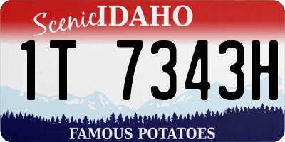 ID license plate 1T7343H