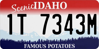 ID license plate 1T7343M