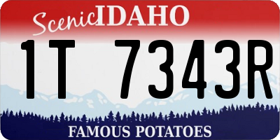 ID license plate 1T7343R