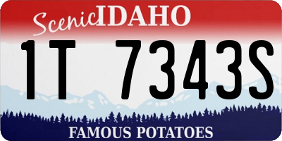 ID license plate 1T7343S