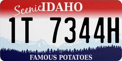 ID license plate 1T7344H