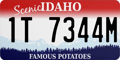 ID license plate 1T7344M