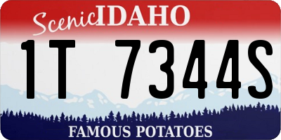 ID license plate 1T7344S