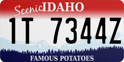 ID license plate 1T7344Z