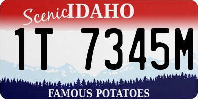 ID license plate 1T7345M