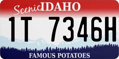 ID license plate 1T7346H