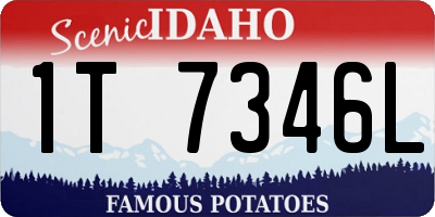 ID license plate 1T7346L