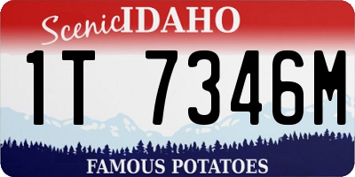 ID license plate 1T7346M