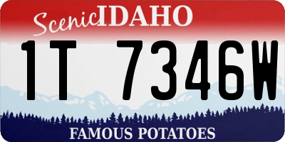 ID license plate 1T7346W