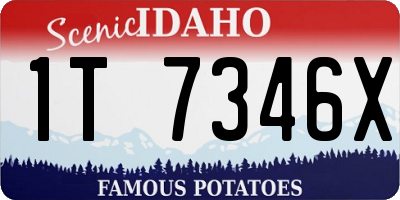 ID license plate 1T7346X