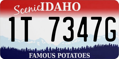 ID license plate 1T7347G