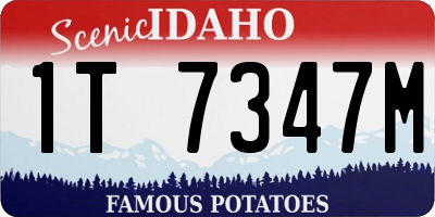 ID license plate 1T7347M