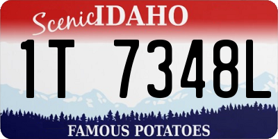 ID license plate 1T7348L