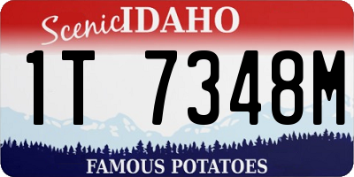 ID license plate 1T7348M