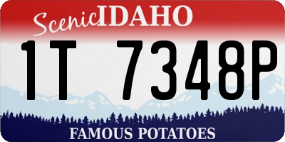 ID license plate 1T7348P