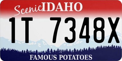 ID license plate 1T7348X