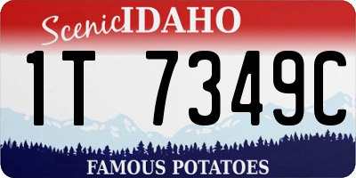 ID license plate 1T7349C