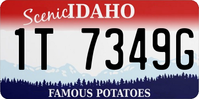ID license plate 1T7349G